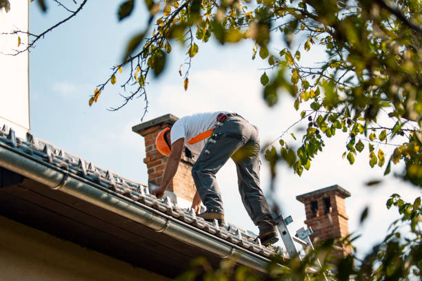 Best Roof Restoration Services  in Walker Mill, MD